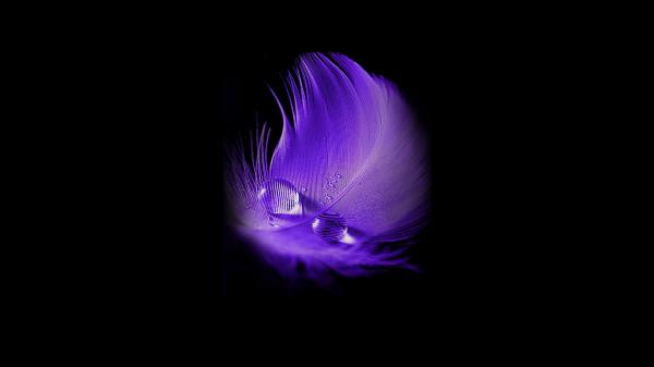 Free purple leaf dark wallpaper download