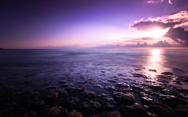 free purple seascape wallpaper download