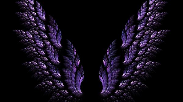 Free purple wings hd abstract wallpaper download