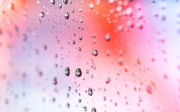 Free rain droplets macro 4k wallpaper download