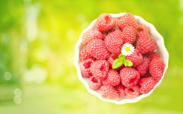 Free raspberries wallpaper download