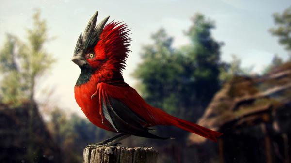 Free red black bird is standing on tree trunk in blur green trees background 4k 5k hd animals wallpaper download