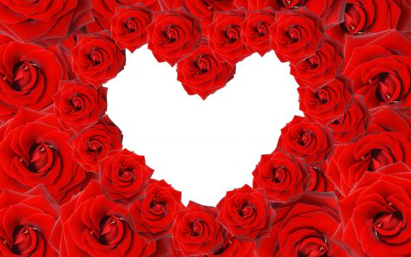 Free red roses  love heart wallpaper download