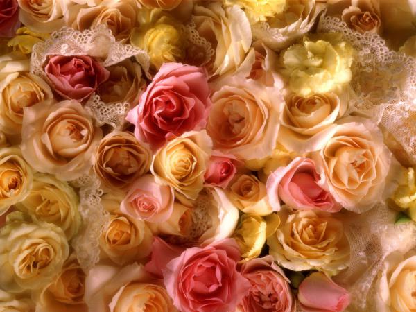 Free rose bridal bouquet wallpaper download