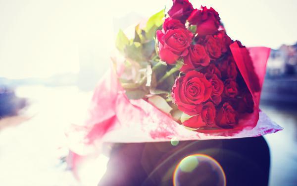 Free roses bouquet wallpaper download