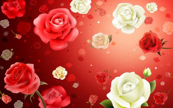 Free roses hd widescreen wallpaper download