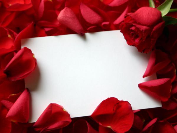 Free roses love letter wallpaper download