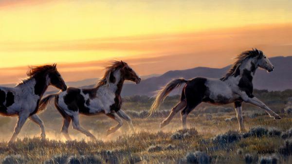 Free running horses on field with background of yellow and brown sky 4k 5k hd animals wallpaper download