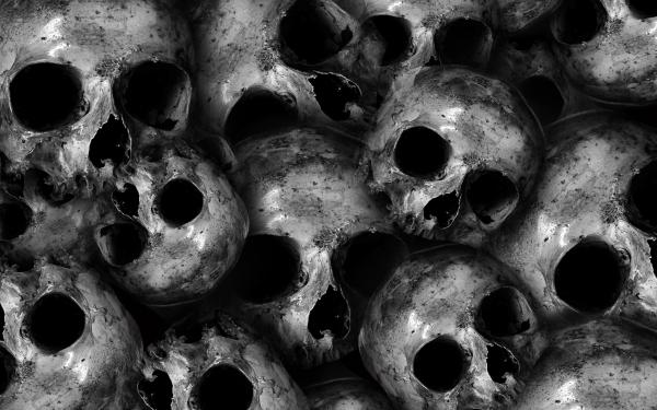 Free scary skulls 4k wallpaper download