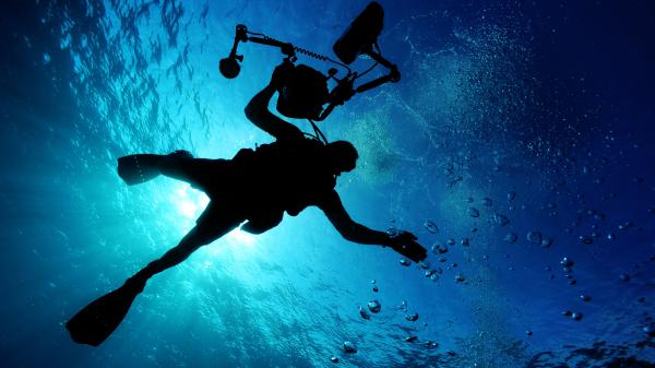 Free scuba diver in ocean 4k wallpaper download