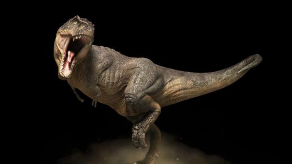 Free shouting dinosaur with black background hd dinosaur wallpaper download