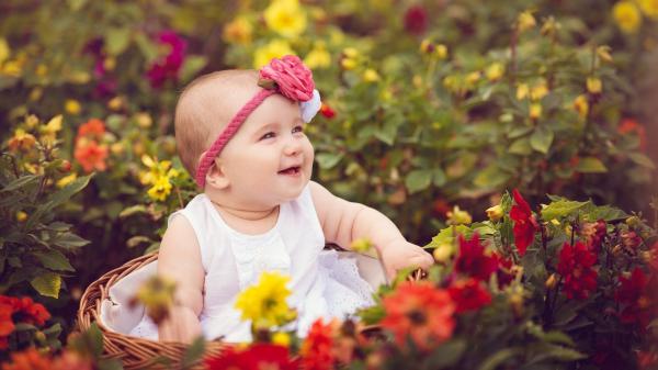 Free smiley cute baby girl is sitting inside bamboo basket surrounded by colorful flowers wearing white dress and flower band on head hd cute wallpaper download