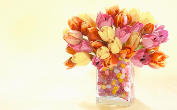 Free spring buds arrangement wallpaper download