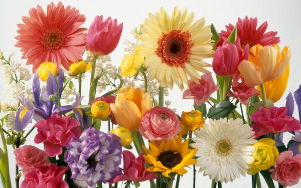 Free springtime arrangement wallpaper download