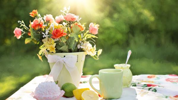 Free summer flowers pot wallpaper download