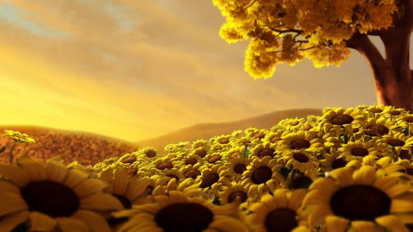 Free sun flower world hd wallpaper download