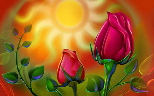 Free sun rose wallpaper download