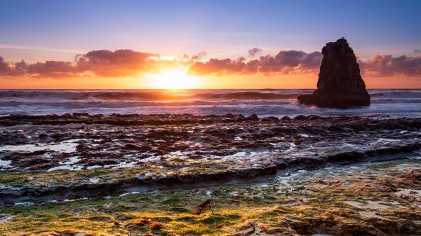 free sunrise at beach 4k 8k wallpaper download