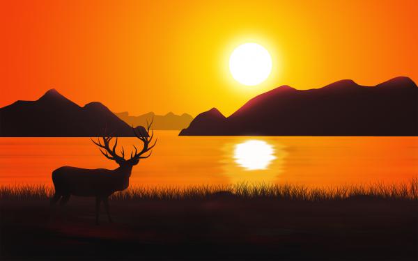 Free sunset deer silhouette 4k wallpaper download