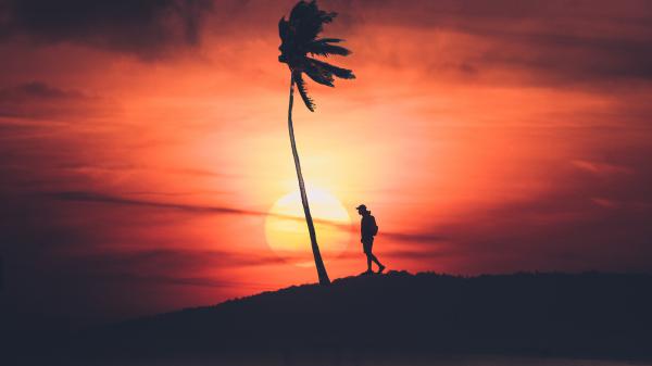 Free sunset silhouette 4k 3 wallpaper download