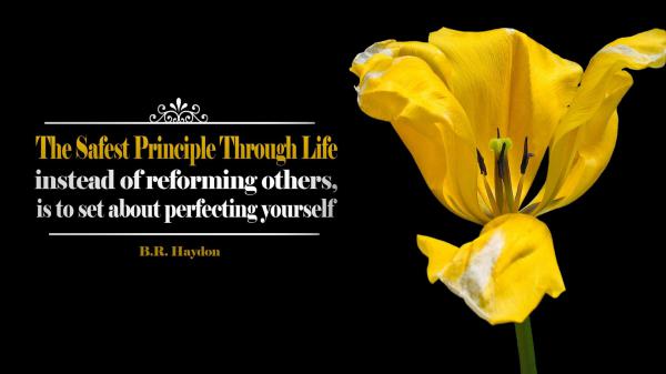 Free the safest principle through life instead of reforming others is to set about perfecting yourself hd inspirational wallpaper download