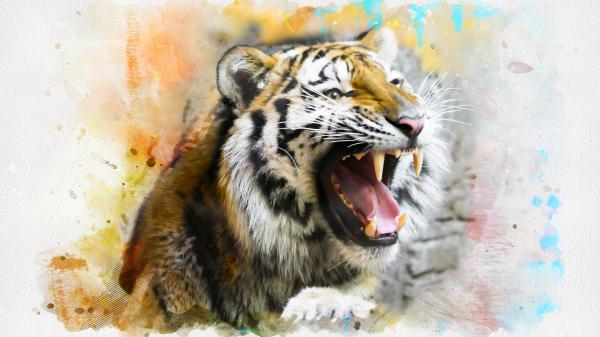 Free tiger splash art 4k wallpaper download