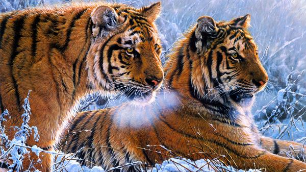 Free tigers oil paint 4k wallpaper download