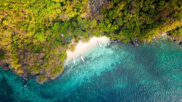 free tropical beach aerial view 4k wallpaper download