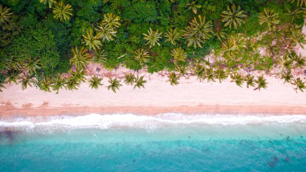 free tropical beach aerial view wallpaper download