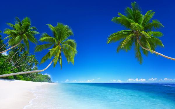 free tropical beach paradise 5k wallpaper download
