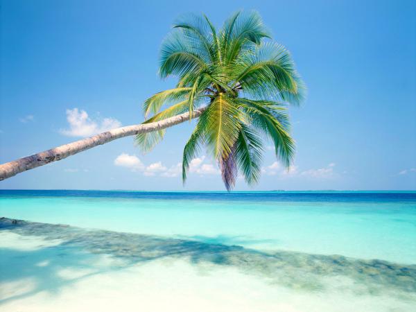 free tropical island wallpaper download