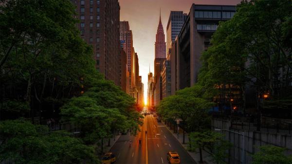 Free tudor city road between high rising buildings and green trees hd travel wallpaper download