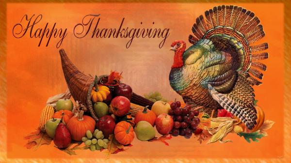 Free turkey with fruits hd thanksgiving wallpaper download