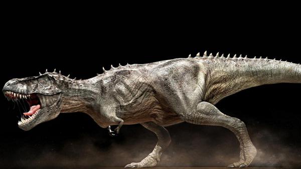 Free tyrannosaurus rex hd dinosaur wallpaper download