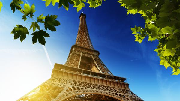 Free upward view paris eiffel tower with blue sky background and green leaves hd travel wallpaper download