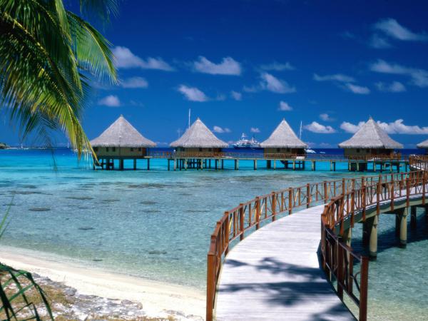 free walkway to paradise beach wallpaper download