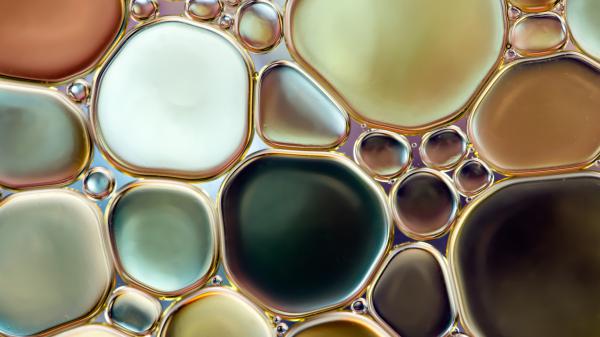 Free water bubble circle hd abstract wallpaper download