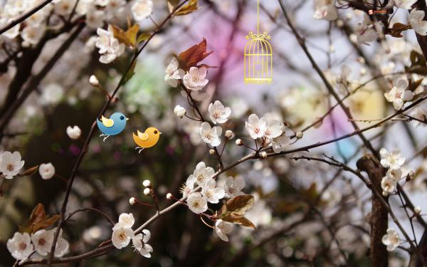 Free welcome spring wallpaper download