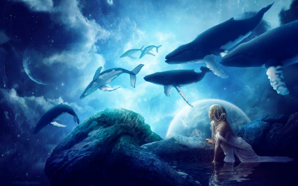 Free whales dream wallpaper download