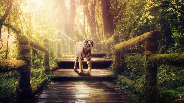 Free white tiger in the jungle 5k wallpaper download