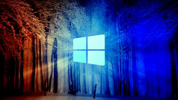 Free windows 10 snow forest hd technology wallpaper download