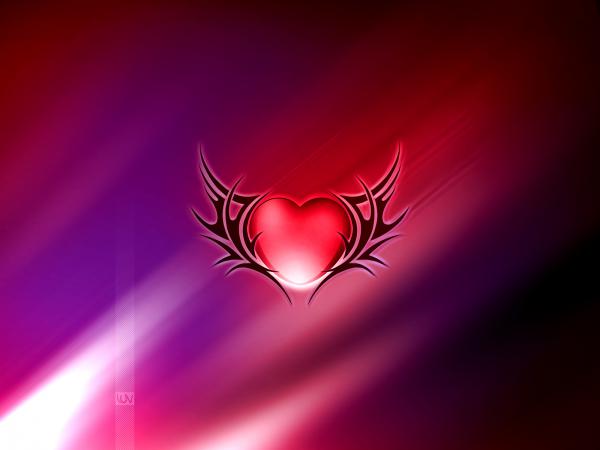 Free wings of love wallpaper download