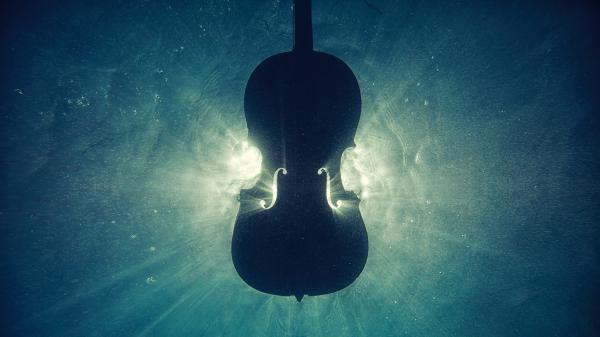 Free wooden cello underwater 5k wallpaper download