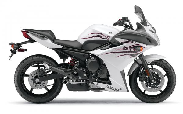 Free yamaha fz6r white wallpaper download