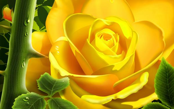 Free yellow bloom wallpaper download