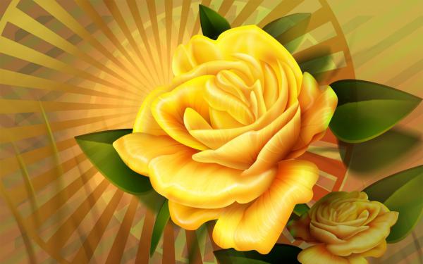 Free yellow rose wallpaper download