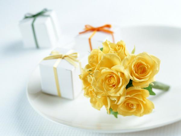 Free yellow roses 1024x768 wallpaper download