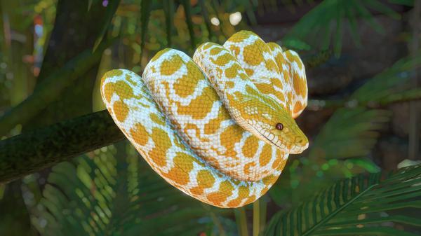 Free yellow white python snake on tree branch 4k hd animals wallpaper download