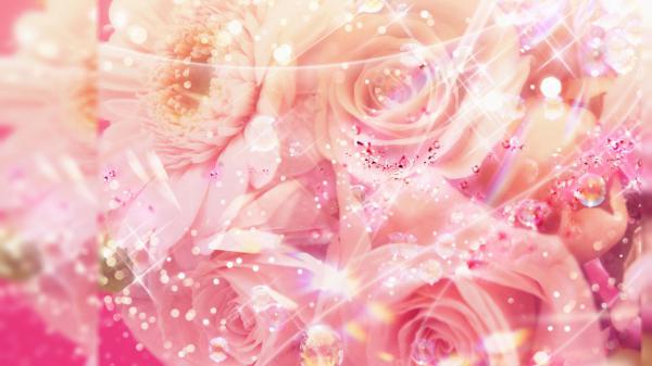 pink flowers with glitters hd girly