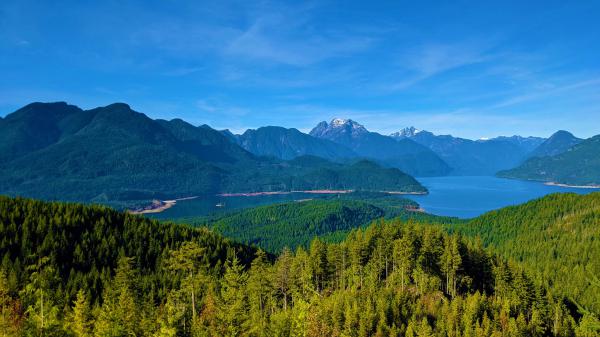 trees covered forest and landscape view of mountains under blue sky 4k hd nature
